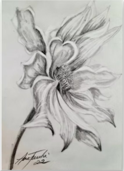 Flor desenhada a carvão