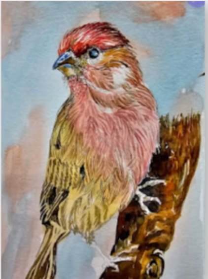 Pássaro em aquarela